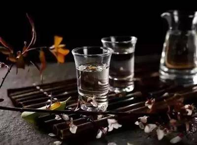 知體質，擇佳釀 以智慧與健康品味杯中乾坤