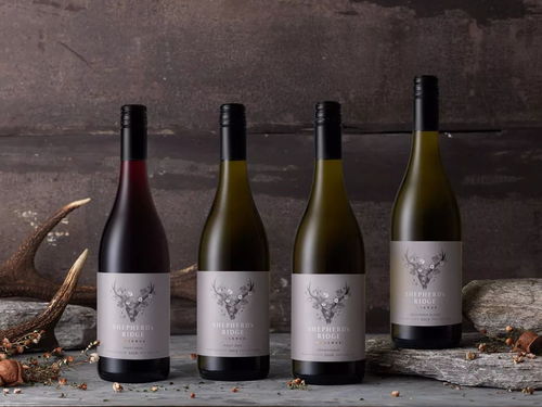 品味藝術(shù) 探索國(guó)外精品酒類(lèi)、飲料及茶葉的包裝設(shè)計(jì)美學(xué)