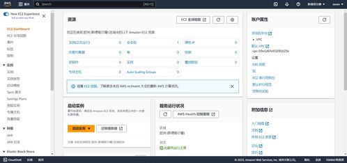 亞馬遜云服務(wù)器搭建與互聯(lián)網(wǎng)域名注冊圖文詳解教程