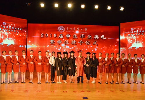 畢業(yè)禮記 2014級(jí)禮儀服務(wù)隊(duì)隊(duì)員的青春紀(jì)念冊(cè)